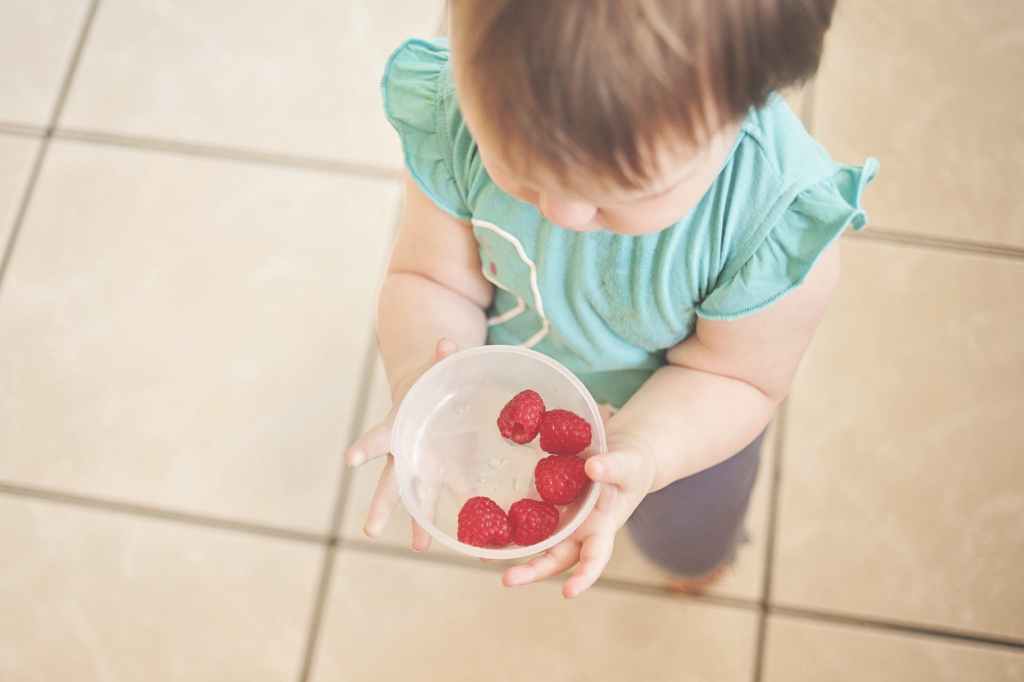 Baby-Led Weaning: A Year in The&nbsp;Life