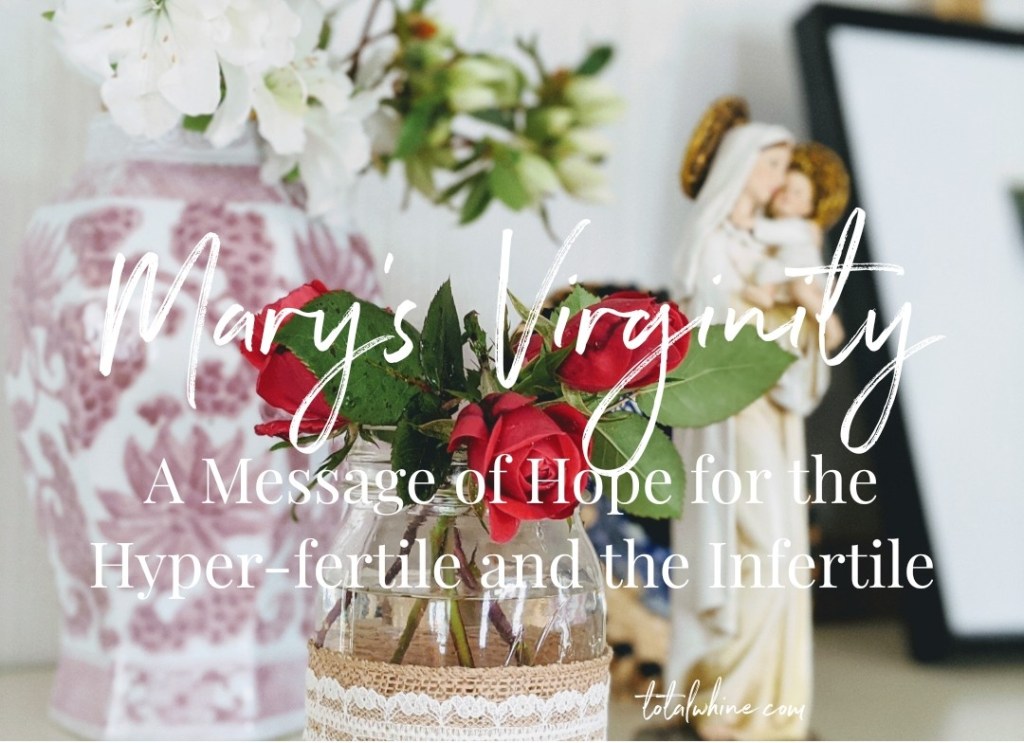 Mary’s Virginity: Hope for the Hyper-fertile and&nbsp;Infertile