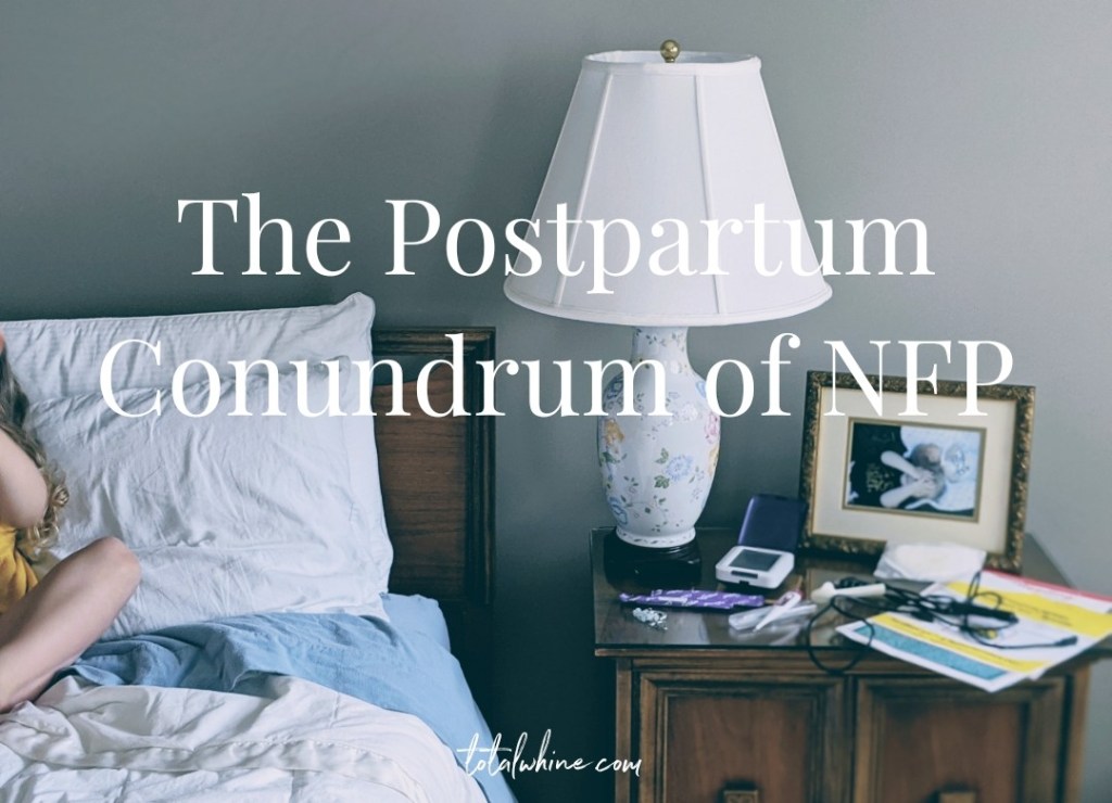 The Postpartum Conundrum of&nbsp;NFP